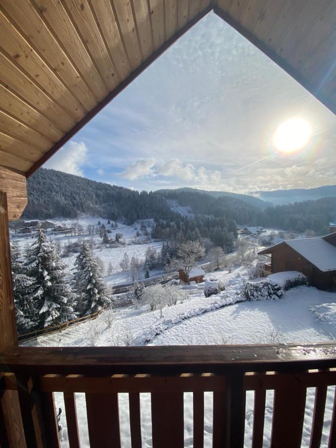 Chalet De La Grimpette Au Coeur De Gérardmer Exterior foto