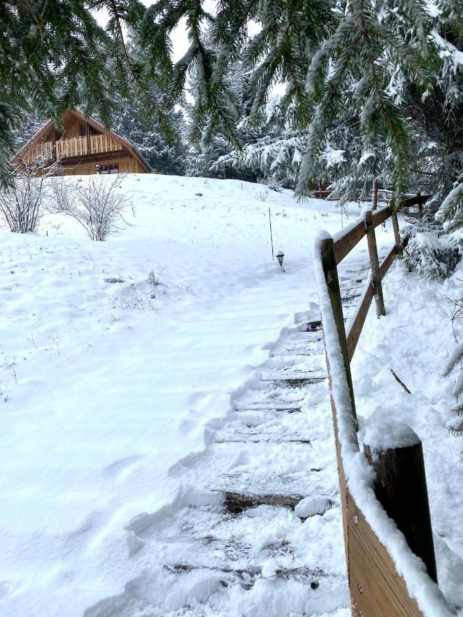 Chalet De La Grimpette Au Coeur De Gérardmer Exterior foto
