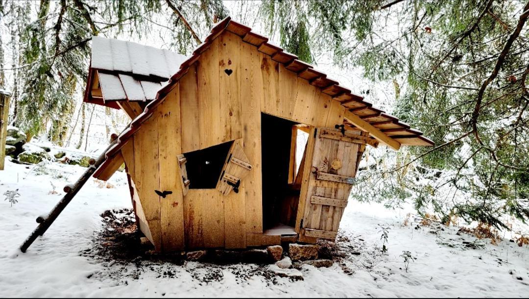 Chalet De La Grimpette Au Coeur De Gérardmer Exterior foto